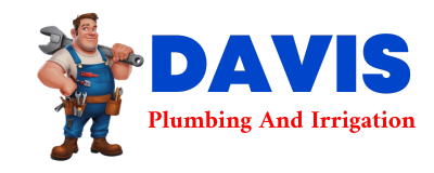 Trusted plumber in ALDA